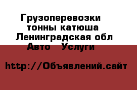 Грузоперевозки 1.5тонны катюша - Ленинградская обл. Авто » Услуги   